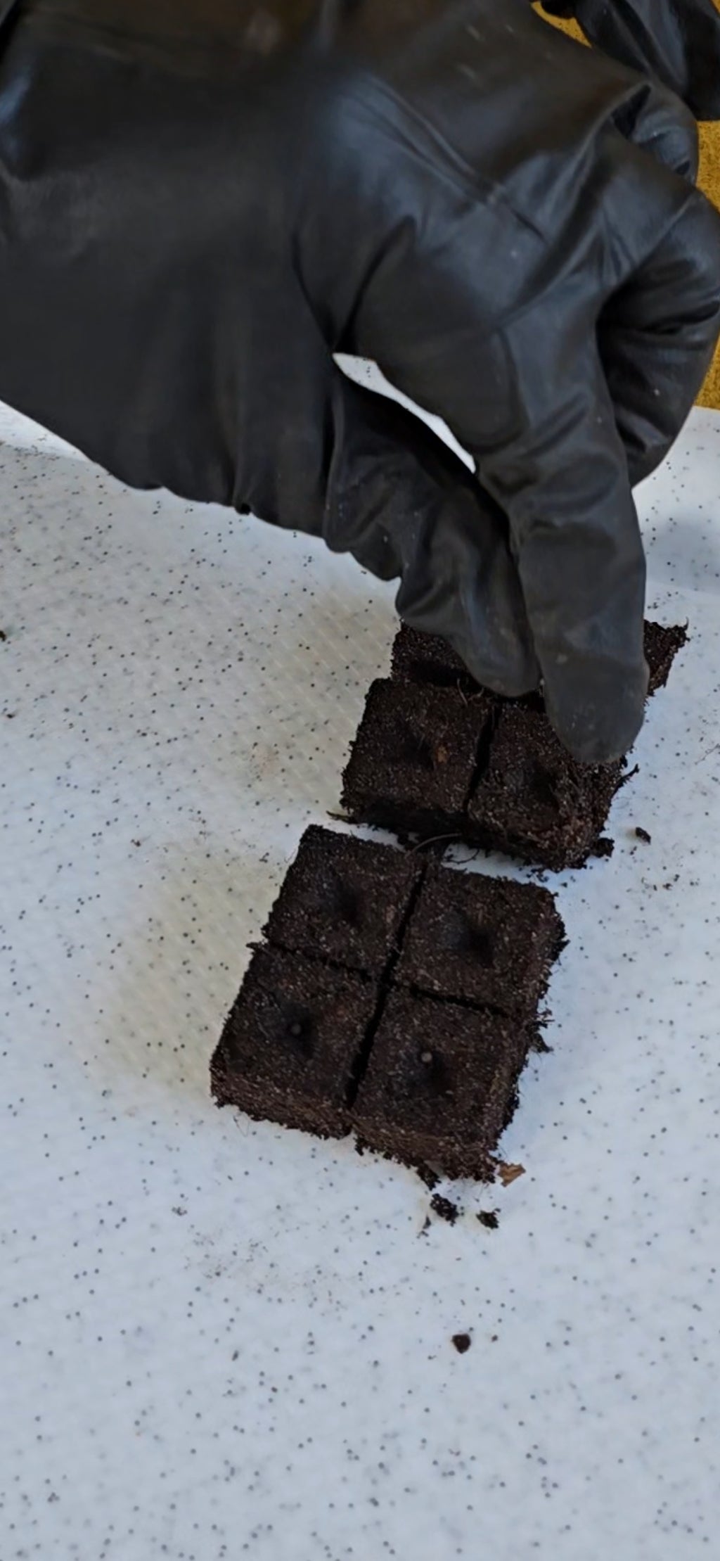 Verktyg tillverkning av Plantkuber